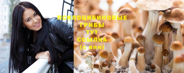 дживик Алексин