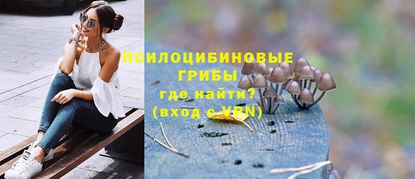 дживик Алексин