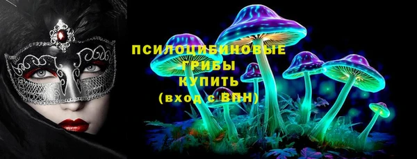 твердый Алексеевка