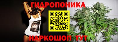 СК Балаково