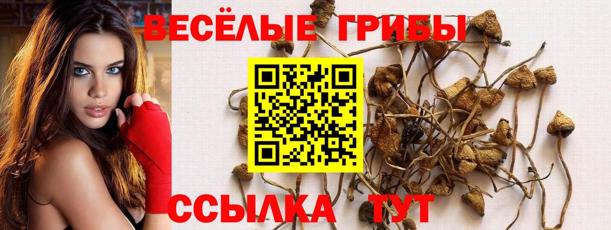 Псилоцибиновые грибы ЛСД  Вход с VPN  Кемерово  Галлюциногенные грибы MAGIC MUSHROOMS 