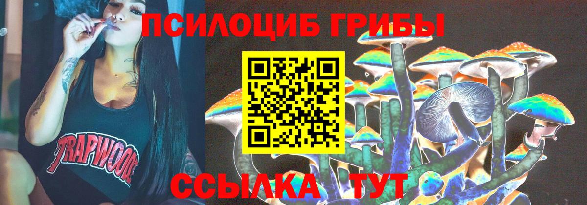 Псилоцибиновые грибы GOLDEN TEACHER Кемерово